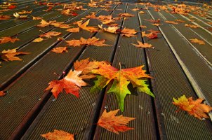 Φθινόπωρο! Οι εργασίες της εποχής - Κεντρική Εικόνα