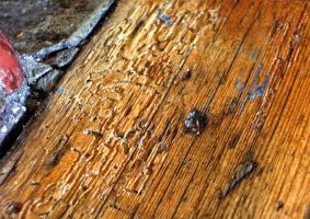 8.4 Προσβολή της ξύλινης επιφάνειας από ξυλοφάγα έντομα - Κεντρική Εικόνα