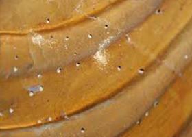 Προσβολή της ξύλινης επιφάνειας από ξυλοφάγα έντομα