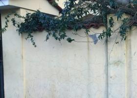 Τριχοειδείς ρωγμές σε εξωτερική τοιχοποιία από σοβά (≤ 0,6mm)