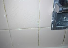 Αρμοί πλακιδίων (αρμόστοκοι) αποχρωματισμένοι με μούχλα &amp; βρωμιά