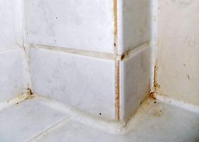 Αρμοί πλακιδίων (αρμόστοκοι) αποχρωματισμένοι με μούχλα &amp; βρωμιά