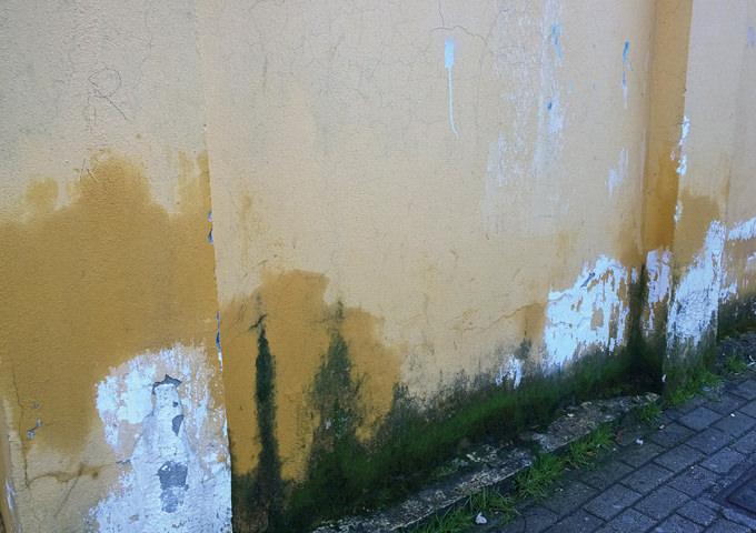 1.1 Έντονη υγρασία εμφανής με μαυρίλες και αποσαθρωμένα σημεία σε επίπεδο εδάφους, σε εξωτερικό τοίχο ισογείου - Κεντρική Εικόνα