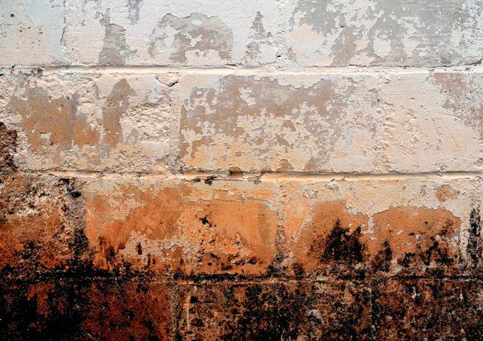 1.9 Εμφάνιση μούχλας και βρωμιάς σε εξωτερική τοιχοποιία - Κεντρική Εικόνα
